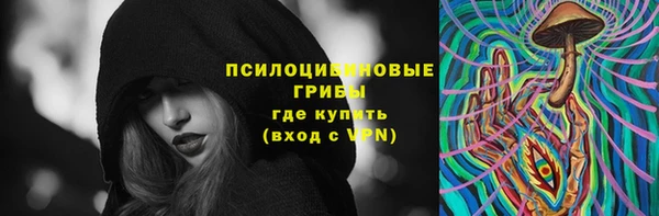 скорость Белокуриха