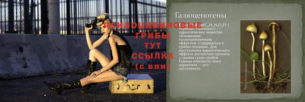 мяу мяу мука Беломорск