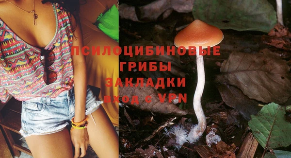 spice Белоозёрский